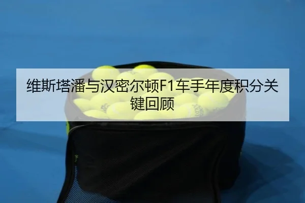 维斯塔潘与汉密尔顿F1车手年度积分关键回顾